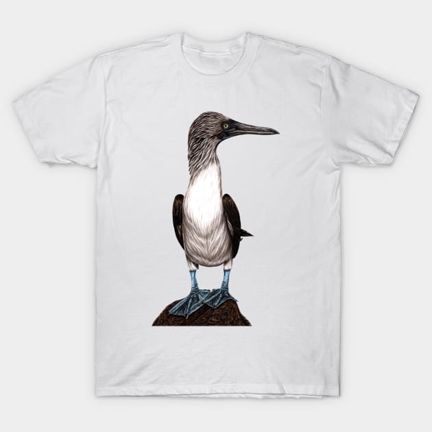 Blue-footed booby T-Shirt by lorendowding